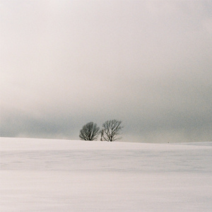 波多野结衣 面瘫
